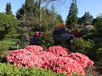 Botanischer Garten in Wageningen (09.05.2016)