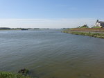 An der Maas bei Tiel (09.05.2016)