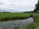 Kleiner Kanal bei Zuidwolde, Provinz Groningen (27.07.2017)