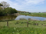 Kleiner Teich bei Bokhoven (06.05.2016)