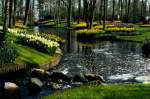 Tulpenblte im Keukenhof in den Niederlanden im Jahr 1990