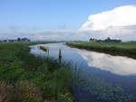 Groot Fluss bei Mastenbroek im Steenwijkerland, Provinz Overijssel (24.07.2017)
