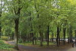 Waldgebiet am Parkplatz des Labyrinthes am Dreiländerpunkt Vaals im niederländischen Zuid-Limburg am 09. Oktober 2020.