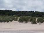 Blick auf die Dnenlandschaft in der Nhe von Renesse.