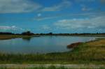 Ein kleiner See bei Breskens der fr die Vogelwelt ein Paradies ist. 21.7.2012