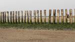 Eine Buhne am Strand von Cadzand in der Provinz Zeeland in den Niederlanden am 23.07.2023.
Diese Pfahlreihen schützen Strände und Dühnen vor Erosion, indem sie die Wellenenergie brechen.