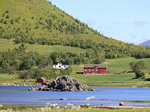 Das sommerliche grün auf den Lofoten, gesehen am 26. Juni 2016.