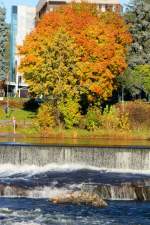 Am Lgen in Kongsberg; 17.10.2009