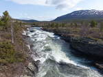 Zufluss zum Sjoa Fluss im Veogjelet Naturreservat, Innlandet (25.05.2023)