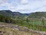 Valdres Tal bei Begnadalen, Innlandet (25.05.2023)