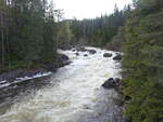 Reina Fluss bei Bagn, Innlandet (25.05.2023)