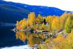 Herbst in Valdres; 10.10.2009