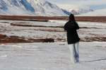 Wildlife im Dovrefjell.