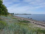 Strand am Oslofjord bei Tolvsrod, Telemark (29.05.2023)