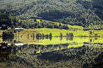 Spiegelung im Oppheimsvatnet im norwegischen Hordaland.