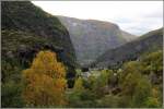 Das Flamsdalen aus dem Zugfenster der Flamsbahn. Die Zugfahrt beginnt in 867 m Hhe und endet 2 m ber dem Meeresspiegel. Das macht sich auch in der unterschiedlichen Frbung des Herbstlaubes bemerkbar. 27.09.2012