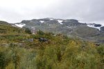 AURLAND, 09.09.2016, Blick aus dem Zug auf Teile des Dörfchens Myrdal in der Kommune Aurland