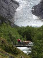 Eine Fjordpferd-Karriole vor dem Brikdaslbreen.