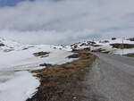 Schneefelder an der Straße 13 Vikafjellsvegen (26.05.2023)