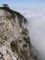 Blick von der großen Knzel auf der Hohen Wand hinunter ins Tal, welches aber durch Nebel nicht zu sehen ist