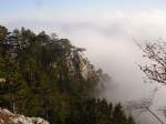 Blick von der Hohen Wand hinunter zu der Nebeldecke die das Schneebergtal verdeckt