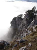 Wieder ein Bild von der Nebeldecke die nur knapp unter dem Hohe Wand Plateau liegt