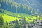 Eine Wiese bei Heiligenblut in der Abendsonne. Aufnahme: 4. August 2016.