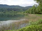 Westufer des Keutschacher See (20.05.2013)