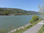 Donau unterhalb vom Stift Melk, Wachau (19.04.2019)