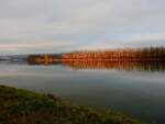 Abendstimmung an der Donau, im Hintergrund die Siloanlagen von Aschach/D; 211119