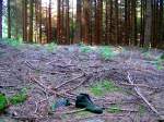 ausgediente Schuhe wurden achtlos im Wald entsorgt, oder ging der Besitzer barfuss weiter; 070805