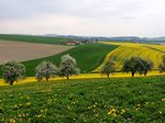 Frühlingserwachen im Innviertel, nahe Pattigham; 160423