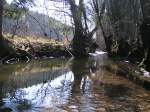 Spiegelungen im Bachlauf 070311 