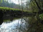 Spiegelung im Bachbett 070401