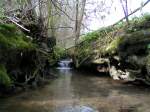 Bachzulauf mit kleinem Wasserfall  0700401