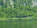 Wanderung entlang des Hallstätter-Sees; im Hintergrund hat REX528 Salzkammergut  die Bahnhaltestelle Hallstatt verlassen, Bahnreisende müssen mit dem Schiff in den bekannten Ort übersetzen; 200613