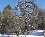 Ein klarer Wintertag in Österreich nahe der Innersbachklamm bei Lofer. 03.12.2013