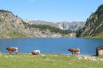 Tappenkarsee auf 1800 m in den Hohen Tauern bei Kleinarl/Pongau im Salzburger Land.