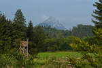 Naturidylle im Salzburger Land.