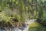 Blick auf die Brandenberger Ache am 01.05.2020: Während im umliegenden Mischwald die Buchenbäume auszutreiben beginnen, fließt die grüne Ache am schroffen Gestein vorbei Richtung