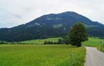 Sommerimpression aus dem Tiroler Brixental.