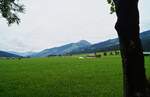 Typische bäuerlich geprägte Landschaft im Tiroler Brixental bei Kirchberg. Hinter den saftigen Sommerwiesen erhebt sich die Hohe Salve. (25.07.2020)