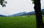 Typische bäuerlich geprägte Landschaft im Tiroler Brixental bei Kirchberg.