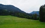 Landschaft im Tiroler Brixental nahe Kirchberg. Blick über die saftigen Sommerwiesen Richtung Süden, 25.07.2020.
