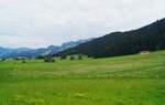 Blick über idyllische Sommerwiesen bei Kirchberg in Tirol Richtung Südosten.