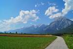 Blick über die sommerlichen Felder bei Flaurling in Tirol auf das Mieminger Gebirge mit der 2662 m.ü.A.