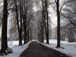 Blick auf eine verschneite Lindenallee bei Brixlegg.(17.12.2011)