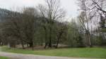 Ein Teich im Matzen Park bei Brixlegg.(15.4.2012)