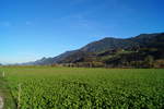 Herbststimmung im Tiroler Unterinntal: Blick von Stans bei Schwaz in Richtung Südosten (Gallzein).