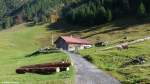 Eine weitere bewirtschaftete Alpe ist die  Alpe Gemstel Schönesboden  im Gemsteltal (Bezirk Bregenz, Land Voralberg/Österreich, Oktober 2013)